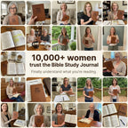 Bible Study Journal: The five-minute guide to every book of the Bible