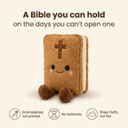 Cuddle Bible — The Bible You Hold on the Hard Days