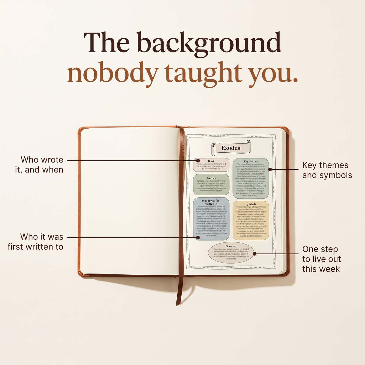Bible Study Journal: The five-minute guide to every book of the Bible