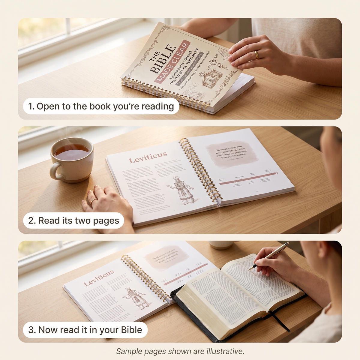 The Bible Made Clear: A Two-Page Guide to All 66 Books